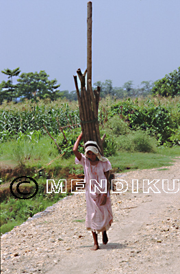 Mujer porteadora. Nepal
